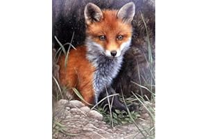 NAIMOER Volpe Diamond Painting Bambini, Diamond Painting Volpe Kit Completo Adulti, 5D Pittura Diamante Arte Kit, DIY Animale Diamant Painting Craft Arts per Deco 30x40cm