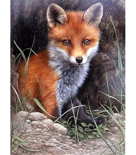 Zariocy 5D Diamond Painting Kits Renard, DIY Peinture Avec