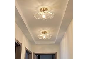 Dellemade 2 Pack Chandelier, Flush Mount Ceiling Light, Clear Glass Shade Light Fixture, 1 Light Lighting Fixture for Bedroom,Dining Room,Kitchen, Hallway