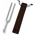 1 pièce diapason 440 Hz, aide à l’accordage pour instruments de musique, acier inoxydable, ton de référence clair pour l’entraînement de l’oreille et les cours, sac inclus