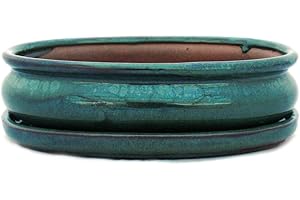 EXOTENHERZ Bol Bonsaï avec soucoupe. 3 – Modèle o47 – L 19 cm – B 13,5 cm – H 5 cm