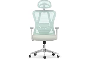 naspaluro Silla de Oficina Ergonómica, Silla de Escritorio con Soporte Lumbar, Reposacabezas y Reposabrazos Ajustable, Ajuste de Altura, Silla de Malla Silla Giratoria, Inclinación, Gris+Verde