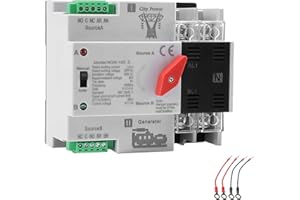 IGEYAPA AC16-125A ATS Fotovoltaico Interruttore Switch Solare Automatico Trasferimento W2R 2P 220V Doppia Alimentazione Adatto Per UPS Industriali E Domestici