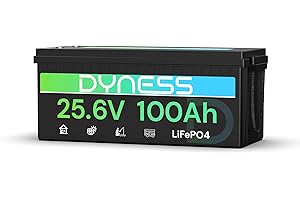 Dyness Batteria Litio LiFePO4 24V 100Ah con 100A BMS e Protezione Bassa Temperatura, Batteria 24V per Fotovoltaico Accumulo, Barche da Pesca Bass, Sistemi di Energia Rinnovabile, Camper (RV), Off-Grid