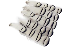 ISPCHEN Butterme 50?pcs natural blanco plumas de fais¨¢n plumas/plumas de/decorativo/de plumas de pavo real de Nicole Tamarin/sombrero negro 3?¨C?4?pulgadas, para DIY, crafts, decoraci¨®n del hogar