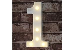 ROMULI Decorative Led Light Up Number Letters, White Plastic Marquee Number Lights Sign for 1st Birthday Party Wedding Home Bar Christmas Decor Battery Operated, Number 1