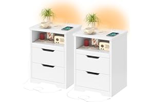 TEENFON Set di 2 Comodini con Camera da Letto con Luci LED 3 Colori, Ricarica Rapida USB/Type-C, Comodino Moderno con Vassoio Estraibile e 2 Cassetti, Bianco