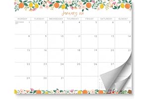 SWEETZER & ORANGE S&O - Calendario magnético para nevera de enero de 2024 a junio de 2025, calendario de refrigerador extraíble para rastrear eventos y citas, calendario magnético de 18 meses para refrigerador para una