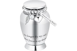 QGJNSGC Small Keepsake Urns for Human Ashes Cremation Urns for Ashes Stainless Steel Funeral Memorial Ashes Holder Mini Cremation Urn for Pet or Human Ash