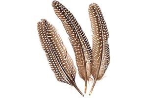 Knorr Prandell KnorrPrandell 6617980 Perlhuhnfedern, 15-20 cm, dunkel/weiß, S