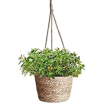 Plantenhanger 2 Stuks Macramé Plantenhangers Katoenen Touw Hangende Plantenmand Binnen Buiten Bloempot Patio Dek Plafond Woondecoratie