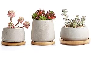 T4U Pots de Succulent Cactus en Ciment avec Plateau en Bambou Série Pots de Fleurs Jardinières Conteneurs Boîtes de Fenêtre Paquet de 3, Cadeau pour Famille Amis