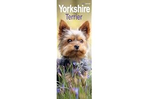 Yorkshire Terrier Slim Calendar 2024 | Dog Breed Slimline Calendar - 12 Month