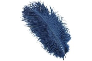 Duories Lot 10 Plumes d'autruche Naturelles 25 à 30 cm Plumes pour Loisirs créatifs pour Attrape-rêves Accessoire décoration la Maison,Costume,décoration Table Mariage,fête,Chapeaux Bleu Marine