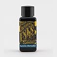 Diamine Fountain Pen Ink 30ml - Aurora Borealis