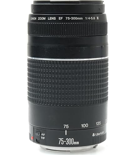 55 300 Lens Et-60 58mm Et60 Lens Hood Reversible Camera