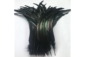Sowder Black Rooster Coque Tail Feathers 16-18inch Lengh Pack of 20