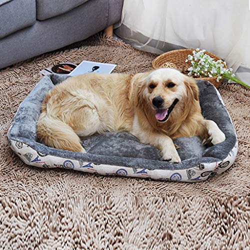 Catalogo Prodotti Xmiral Animali Domestici 2020