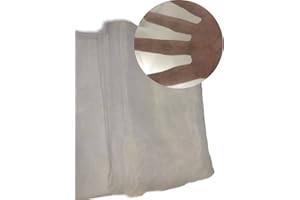 XIANTIAN More Sizes Fine mesh Vegetable Protection Net Butterfly for Plant Fruit Carrot Fly Crop Protect Anti Bug Pest Silver Anti-bird net(2×5m