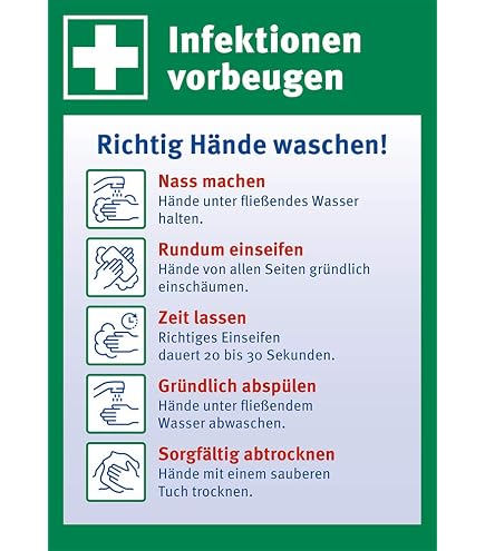 Lemax – Pittogramma Adesivo Da Parete “Mani Correttamente Disinfettare” – Norma CEN EN 1500 – 200x300 Mm – Autoadesivo – Made In Germany