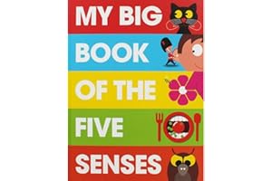 My Big Book of the Five Senses