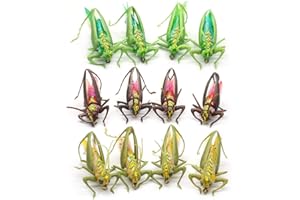 YZD Réaliste Sauterelle Mouches de pêche à la Mouche 3 Tailles 3 Couleurs Mouches sèches