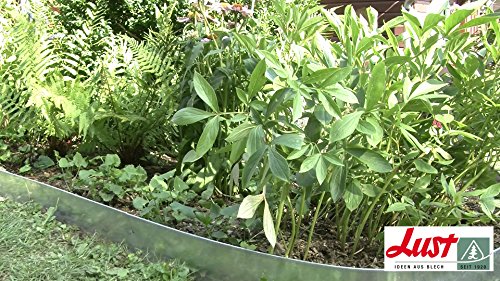 Rasenkante, Beetkante SET 8 x 118 x 20 cm - 2