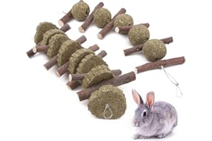 WINTERWORM 2 pezzi coniglietto criceto da masticare giocattoli per denti, bastoncini di mela naturali erba palla denti da macinare i giocattoli piccoli animali domestici accessori per cincillà cavie coniglio