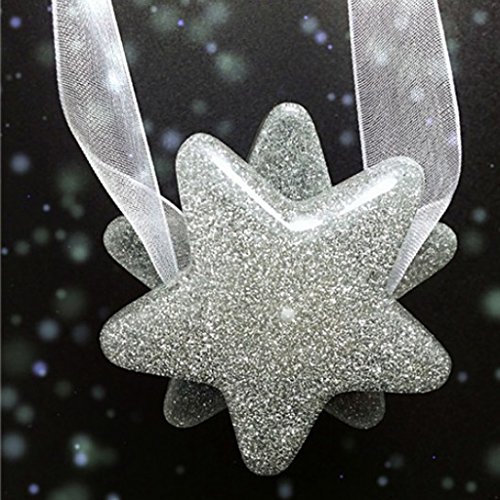 MagiDeal Ein Paar Magnet Raffhalter Vorhang Clip für Wohnzimmer Vorhang Gardine , Stern Form – Silber - 5