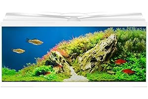 Ciano Aqua 80 LED Tropical Glass Aquarium