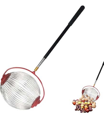 Ramasse-noix Et Fruits Roulant En Acier Inoxydable – Tige Télescopique 46-150 Cm, Rouleau Ramasse Noisettes, Châtaignes, Jujubes