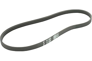 Greenstar 11123 Hutchinson PJ Courroie élastique poly-V 560 x 14,04 mm 6 dents