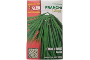 FRANCHI SEMENTI, Fagiolino NANO varietà BRONCO da 250gr Franchi sementi di Qualità