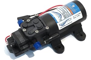 The ROP Shop Everflo Pompe de transfert de diaphragme liquide 12 V 1,0 GPM