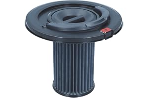 BSH GmbH Hausgeräte Bosch 12017969 Original Filterzylinder Dauerfilterkassette, Zylinder-Hepa-Filter, Staubfilter, Flachfaltenfilterkassette, Zylinderfilter, Plattenfilter, Handgriff, Staubsauger