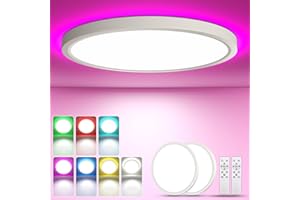 YiLaie 2 Pezzi Plafoniera LED Soffitto 24W 2700LM, RGB Lampadario per Camera da Letto Ø30cm,3000K-6500K Lampada LED Soffitto Dimmerabile Con Telecomando, IP44 Impermeabile,Per Soggiorno Camera letto