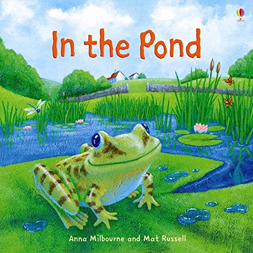 In the Pond (Picture Books)