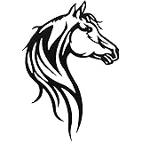 Tekening Paardenkop