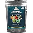 THE WET TREE Pseudomonas Fluorescens Powder | Bio Fungicide for Seeds & Home Garden Plants | Against Root Rot, Stem Rot, Wilt & Fungal Dieases (250gm)