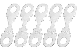 A ABSOPRO 5Pcs Fusibles À Bande Haute Intensité De 100A 12V Fusibles Automobiles Pour Porte-Fusibles Audio Pour Voiture