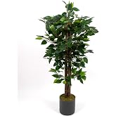 YAPAY &Ccedil;İ&Ccedil;EK&Ccedil;İNİZ Benjamin Ağacı 110 Cm