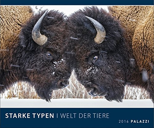 STARKE TYPEN - WELT DER TIERE 2016 - mit witzigen Bildunterschriften - Tier-Kalender 60 x 50 cm