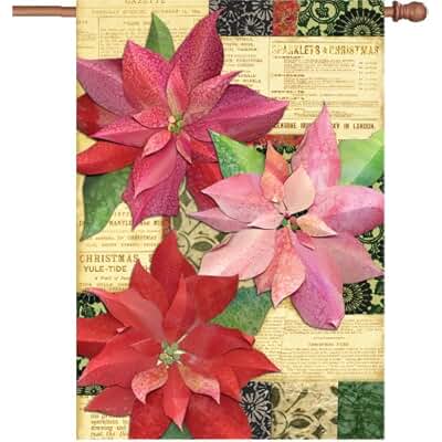 Suchergebnis auf Amazon.de für: weihnachtsstern beleuchtet: Garten