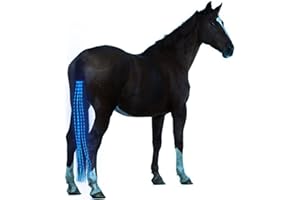 SSZYace Horse Equipment Riding Tail Trappings Equestrian LED Flashing Light Bar Harness Outdoor Sports USB Charge Riding Decorations (Blue)