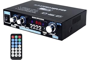 NAMYOPRCE Amplificador Bluetooth 5.0 Mini, amplificador de alta fidelidad, receptor de audio digital, amplificador amplificador de potencia con ranura USB TF