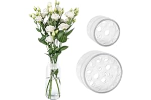 JINTANG 2 Pcs Support de Tige en Spirale pour Tiges de Fleurs,Support de Tige d'ikebana en Spirale,pour Bouquet de Fleurs DIY (Transparent)