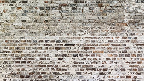 Vlies Fototapete 500×280 cm – Top – Tapete – Wandbilder XXL – Wandbild – Bild – Fototapeten – Tapeten – Wandtapete – Wand – Textur Ziegel Mauer Beton f-A-0457-a-a - 2