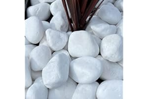 TODOSTONES Canto Rodado Saco Blanco Especial (99%) (10 Kg, Tamaño: 20-40mm)