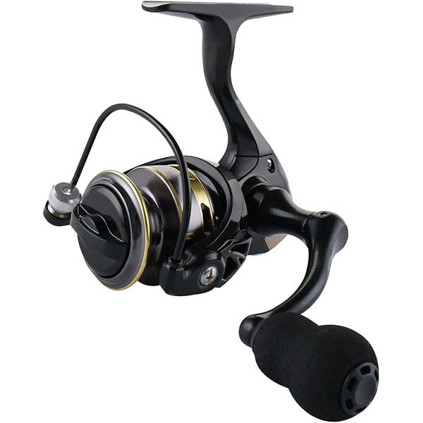 DAIWA LT3000-CXH Spinning Reel 23 Legalis : Amazon.in: Sports