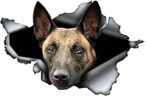 TIZIKJ Autoaufkleber Belgische Malinois Autoaufkleber 15cm(5.9 Inch) 3D Zerrissen Aufkleber Wasserdichte Belgische Schäferhund Haustier Hund Aufkleber Laptop-Aufkleber Reflektierende Aufkleber
